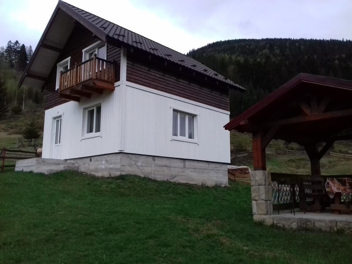 Дома для отпуска Будинок для відпочинку Вербівський світанок Ворохта-4
